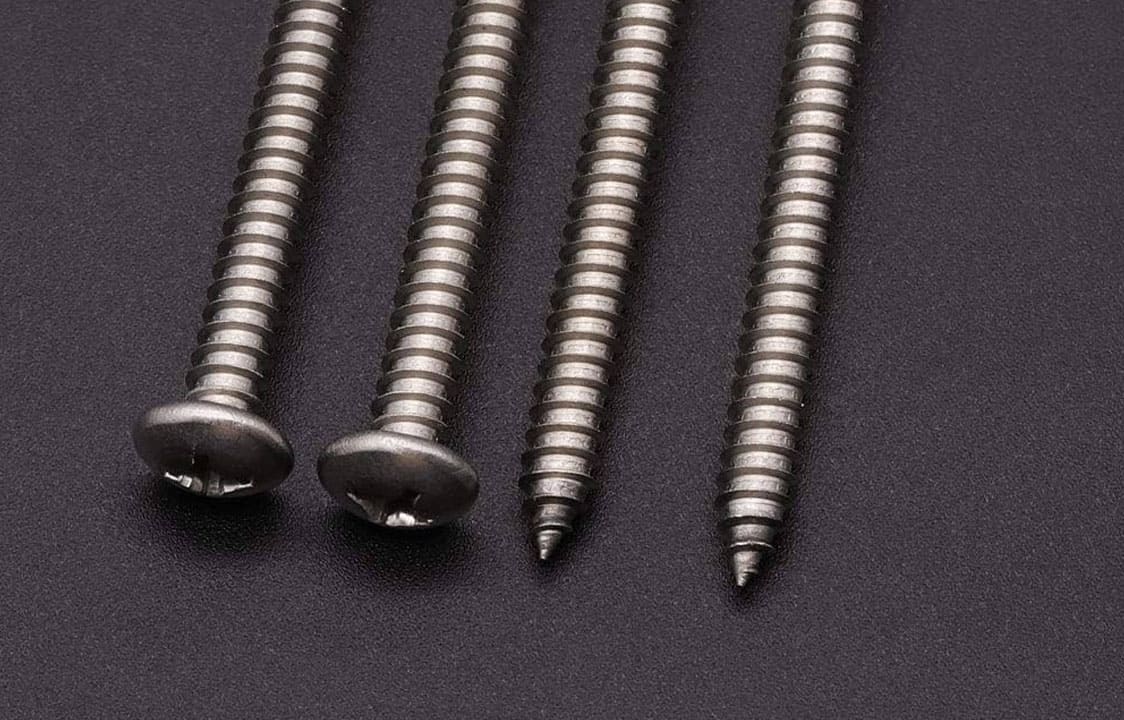 Assortment of high-quality Stainless Steel screws from Dalloyed in various types and sizes.